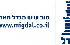 מגדל ביטוחים